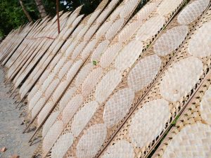bánh tráng có nguồn gốc từ đâu